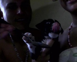 Ponky